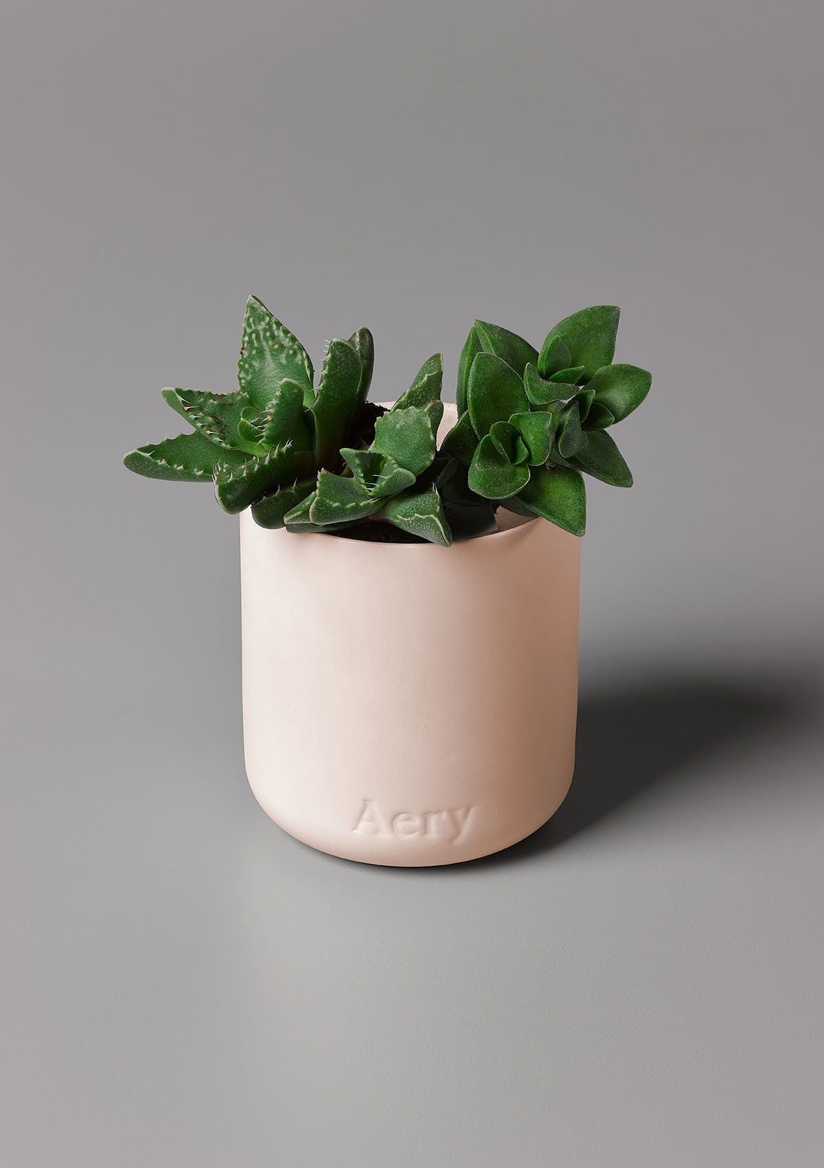 Aery Living - Luxury Candle - Parisian Rose
