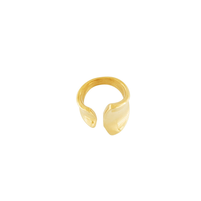 DNSK Courage Waterproof Impression Statement Ring 18K Gold Plating