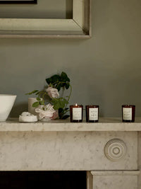 Plum & Ashby - Luxury Candle Votive Set - Fresh, Floral, Amber