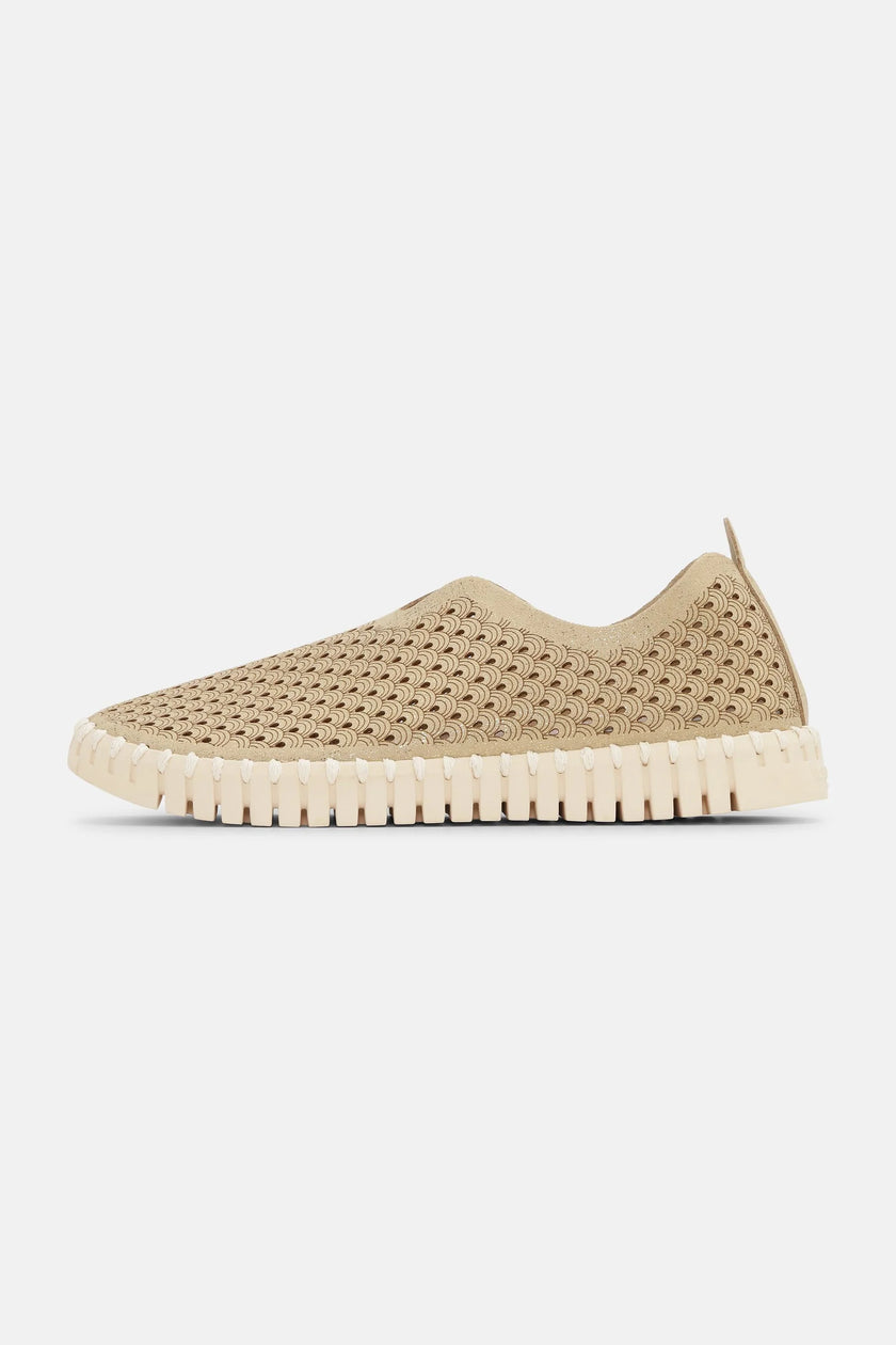 TULIP3223-780111_F_500-ilse-jacobsen-flats