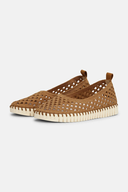 TULIP3479-236111_F_500-ilse-jacobsen-flats